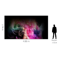 Sony PSE 220" CH 1.2 Series Crystal LED