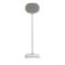 Sanus Wireless Speaker Stand for Sonos Era 300 White Single