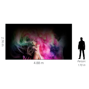 Sony PSE 220" CH 1.2 Series Crystal LED