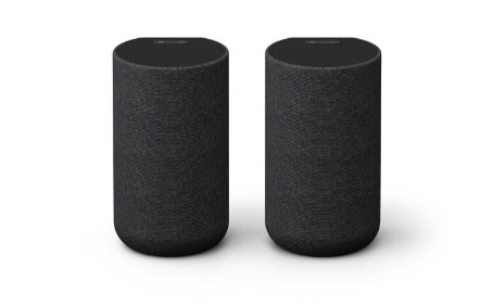 Sony SA-RS5 Wireless Rear Speakers with Built-in Battery, Black